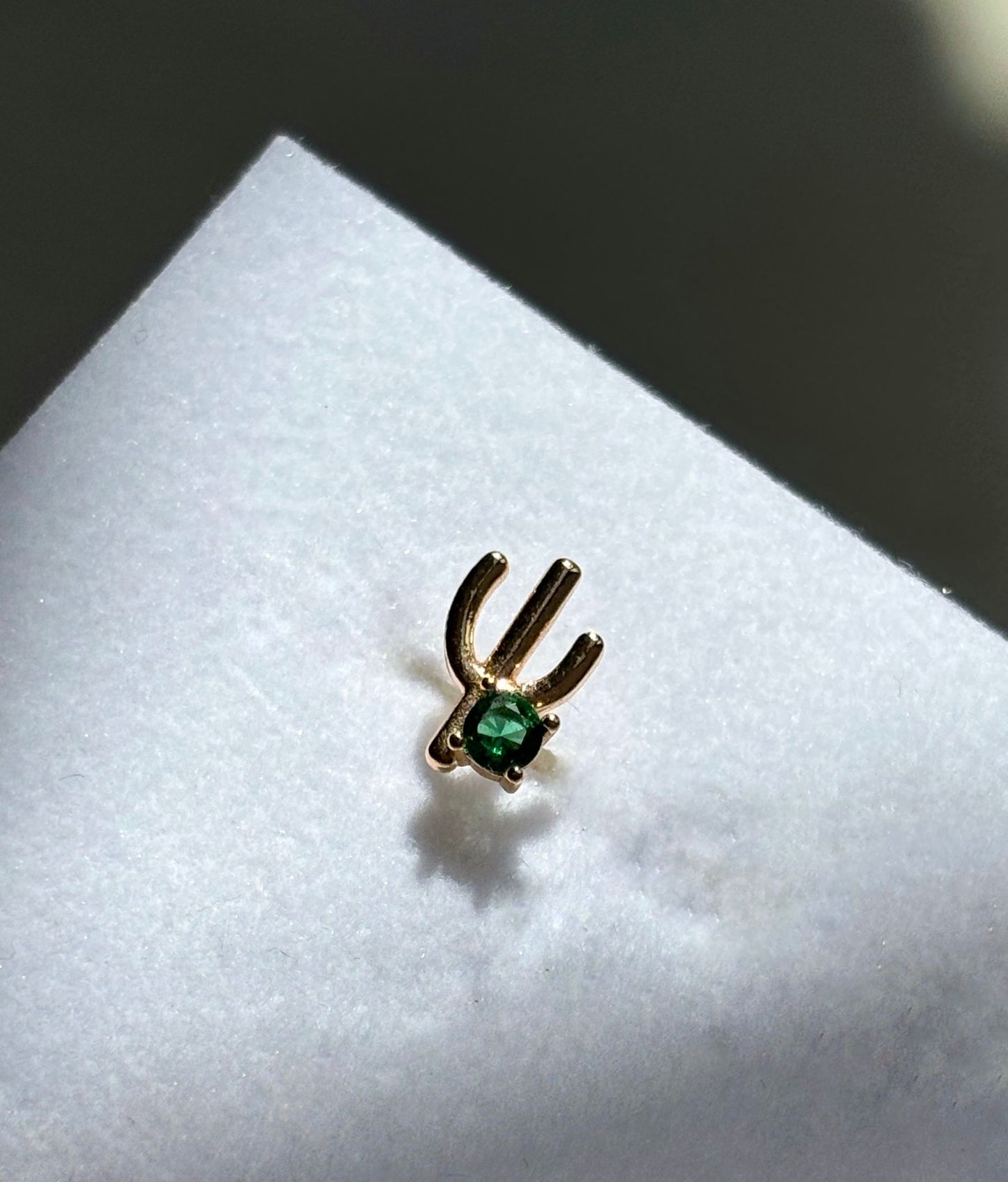 Cactus Piercing