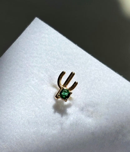 Cactus Piercing
