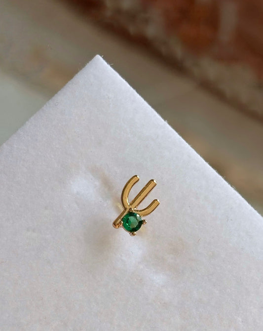 Cactus Piercing